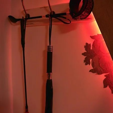 Lejlighed La Duchesse - Loveroom Moonlove Place Stanislas Nancy