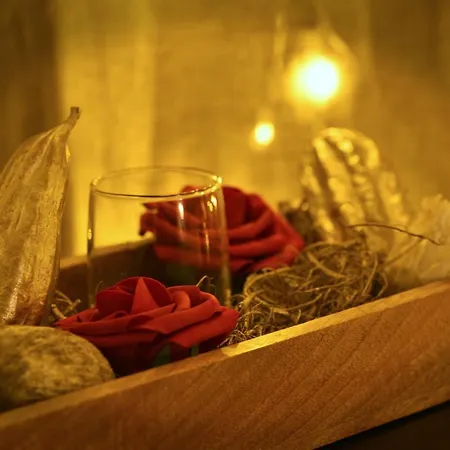 La Duchesse - Loveroom Moonlove Place Stanislas Lejlighed