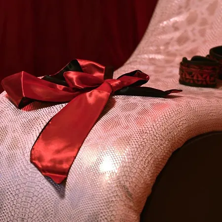 Apartamento La Duchesse - Loveroom Moonlove Place Stanislas