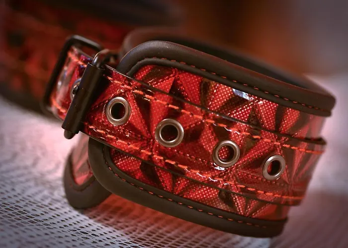 Apartment La Duchesse - Loveroom Moonlove Place Stanislas *