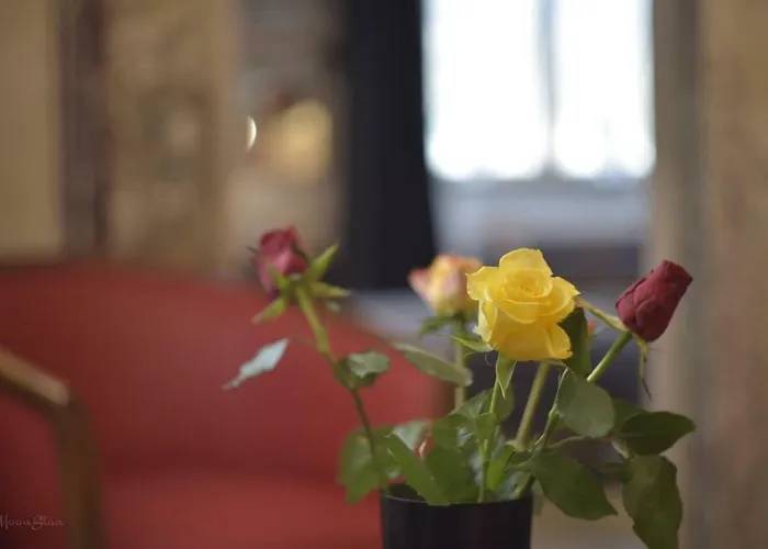 La Duchesse - Loveroom Moonlove Place Stanislas נאנסי